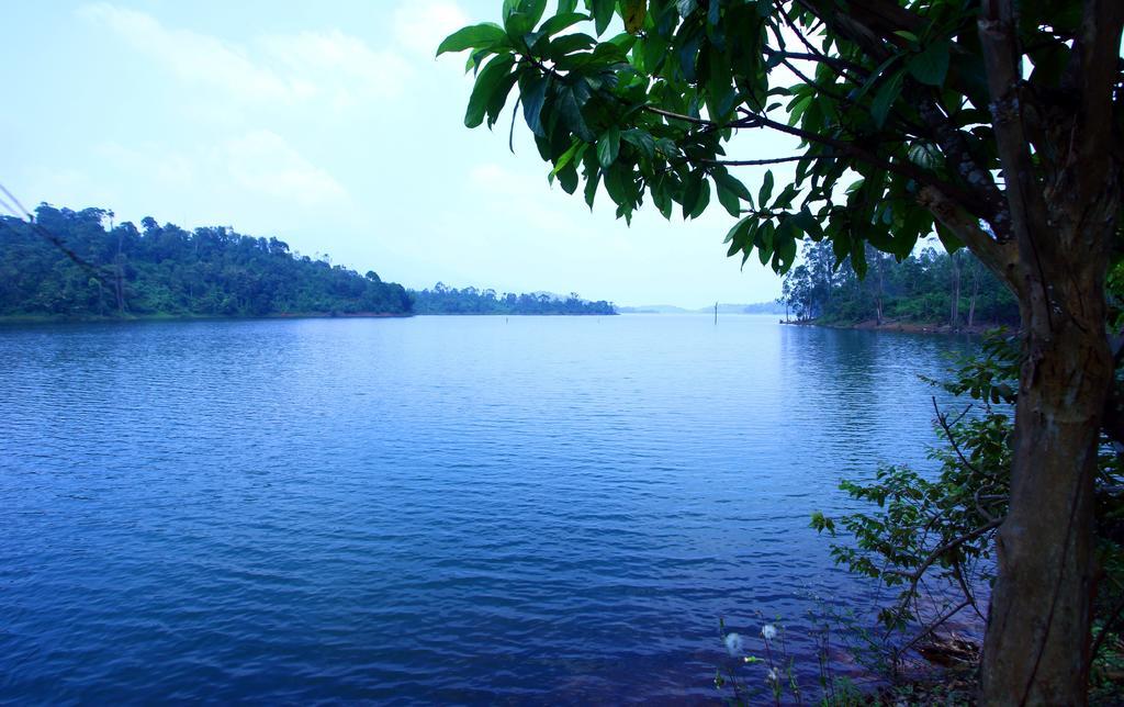Petals Resorts Wayanad Tariyod Eksteriør billede